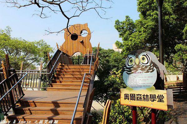 奧爾森林學堂入口的貓頭鷹造型與木棧道